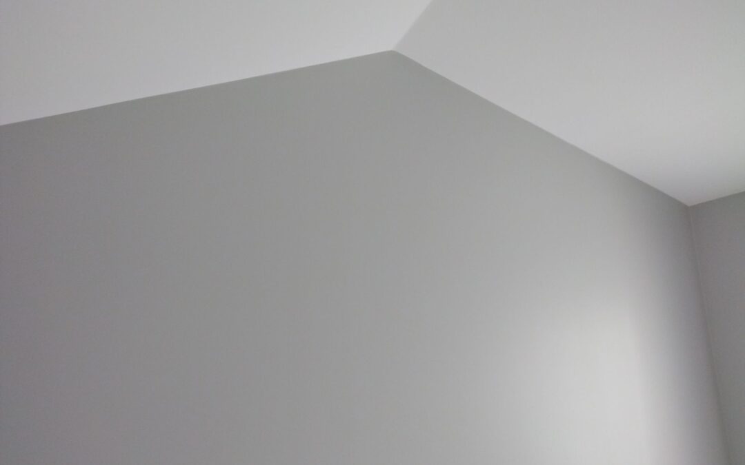 Peinture intérieure maison neuf à Beauvoir-Sur-Mer