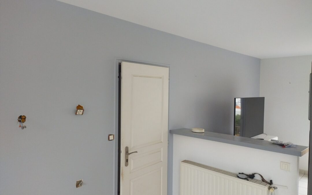 Peinture interieure renovation chateauneuf