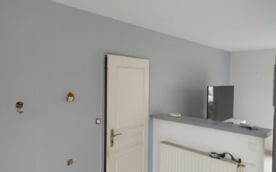Peinture interieure renovation chateauneuf