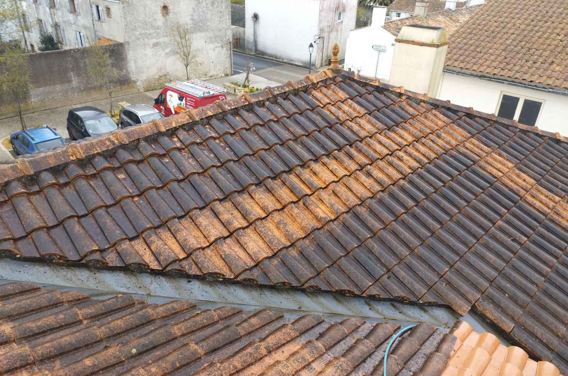 Accumulation de mousse et algues sur tuiles anciennes à Bouin