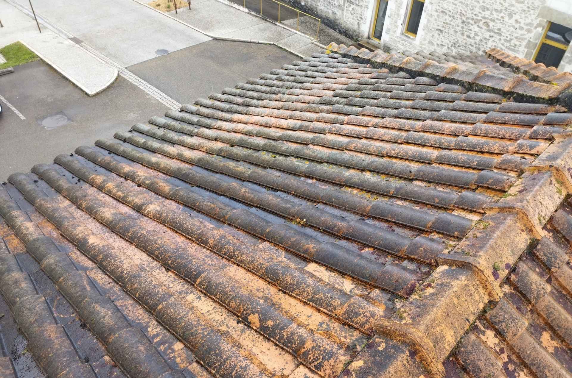 Tuiles en terre cuite encrassées et couvertes de lichens avant traitement en Vendée